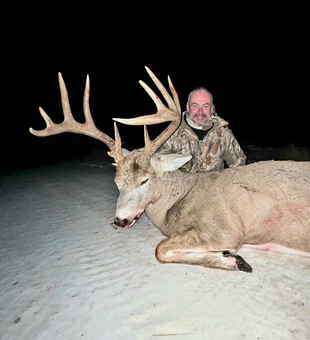 White-tailed Deer challenges in the wild